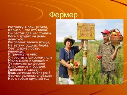 Описание фермера
