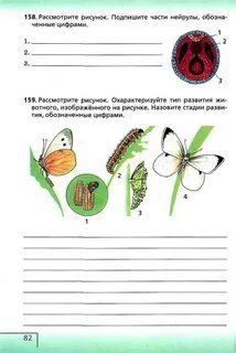 Рабочая тетрадь по биологии читать