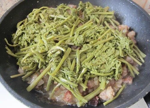 Папоротник Осмунда с мясом - ЯПлакалъ