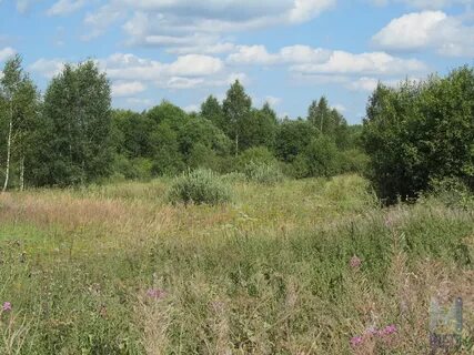 Участки в александровском
