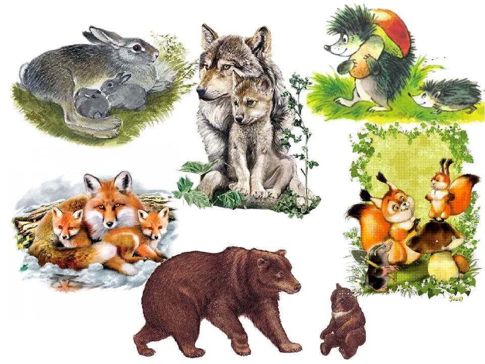 Диких животных для детей. Дикие животные для детей. Лесные животные для детей. Лесные животные для дошкольников.