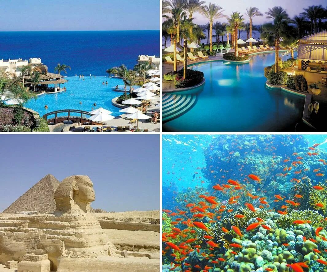 Горящие туры из минска 2023. Тур на мальдивы инстаграм. Отель saii мальдивы. Q премиум резорт 5 алания. Горящие туры из минска 2023.