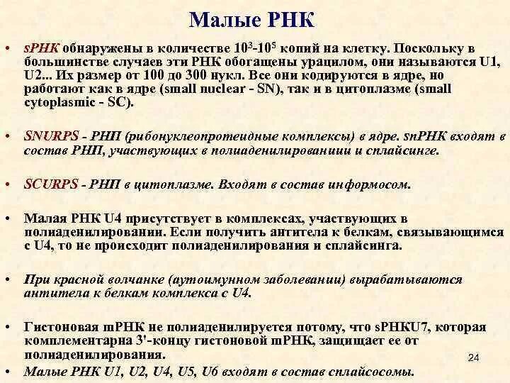 Типы малых РНК. Малые ядрышковые РНК функции. Малые интерферирующие РНК функции.