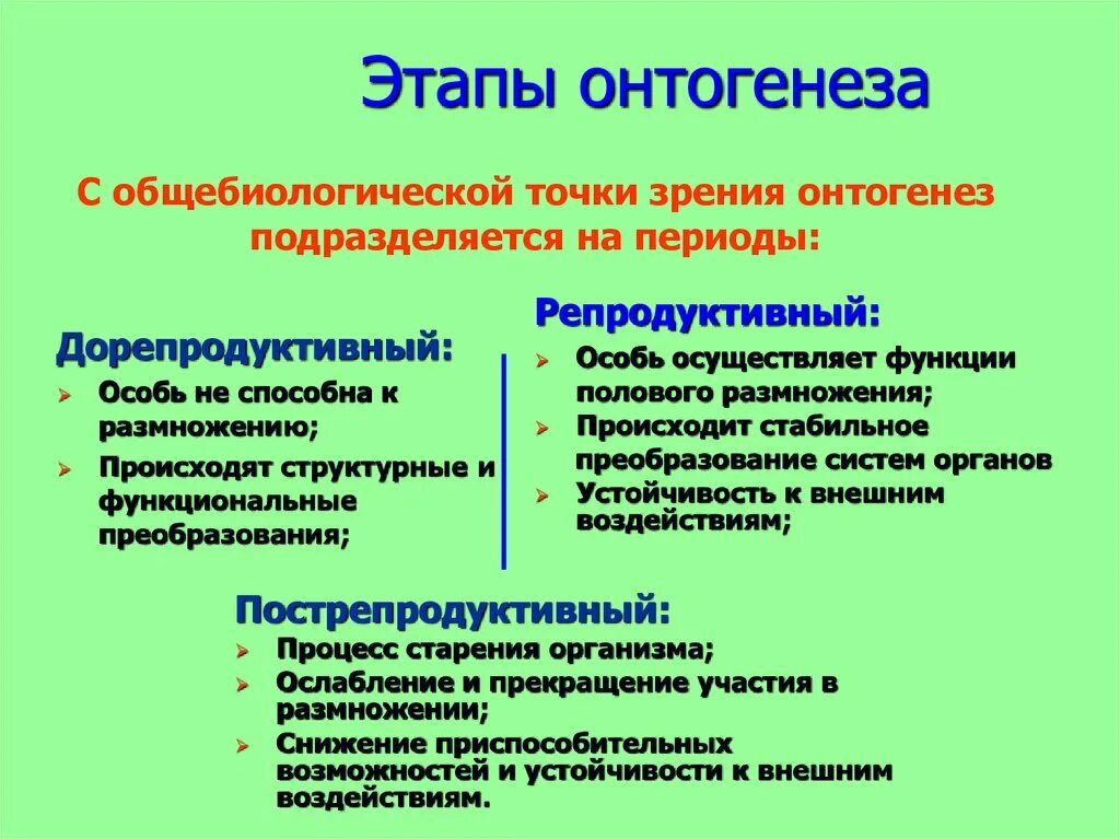 Свойство онтогенеза. 3. Перечислите этапы онтогенеза?. Начальные этапы онтогенеза таблица. Этапы периоды и стадии онтогенеза. Стадии онтогенетического развития.