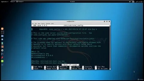 Burp kali linux
