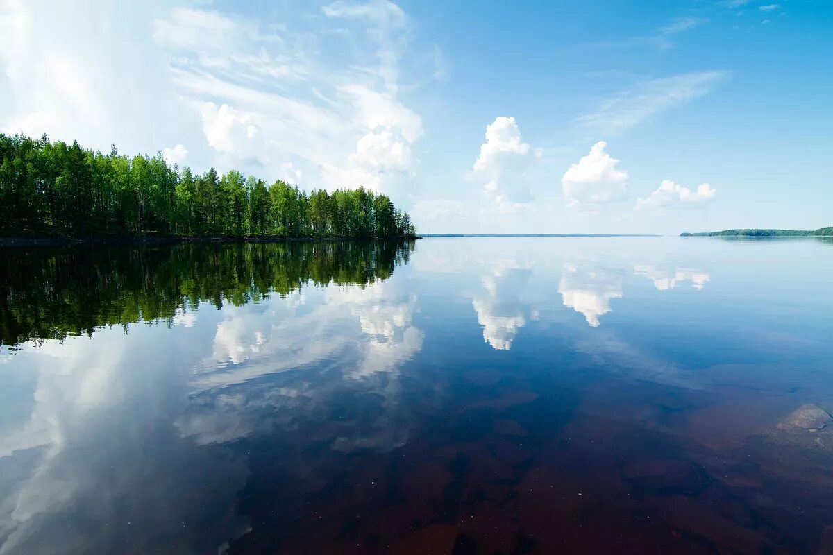 Озеро. Озеро Сандал. Оз Сандал Карелия. Онежское озеро Кондопога. Озеро Нерское.