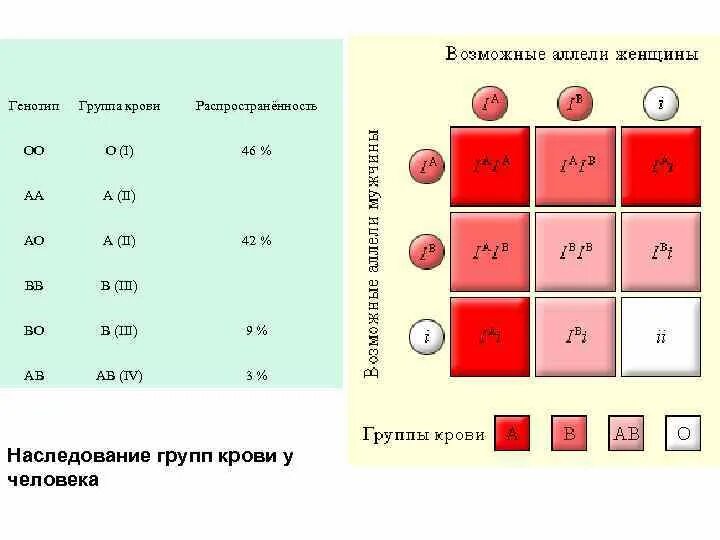 Наследование группы крови от родителей таблица. Группы крови 2 + 4 группа. Резус факторы крови у человека таблица. Таблица наследования групп крови с генотипами. Родители имеют следующие группы крови