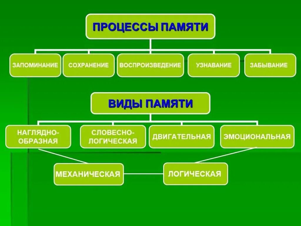 Процессы памяти. Процессы памяти в психологии. Память: понятие, виды, процессы. Понятие памяти виды памяти.