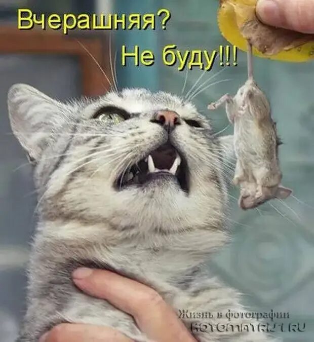 День супруга. Сама пристала. Сама пристала. Девушка вы такая красивая. Сама пристала.