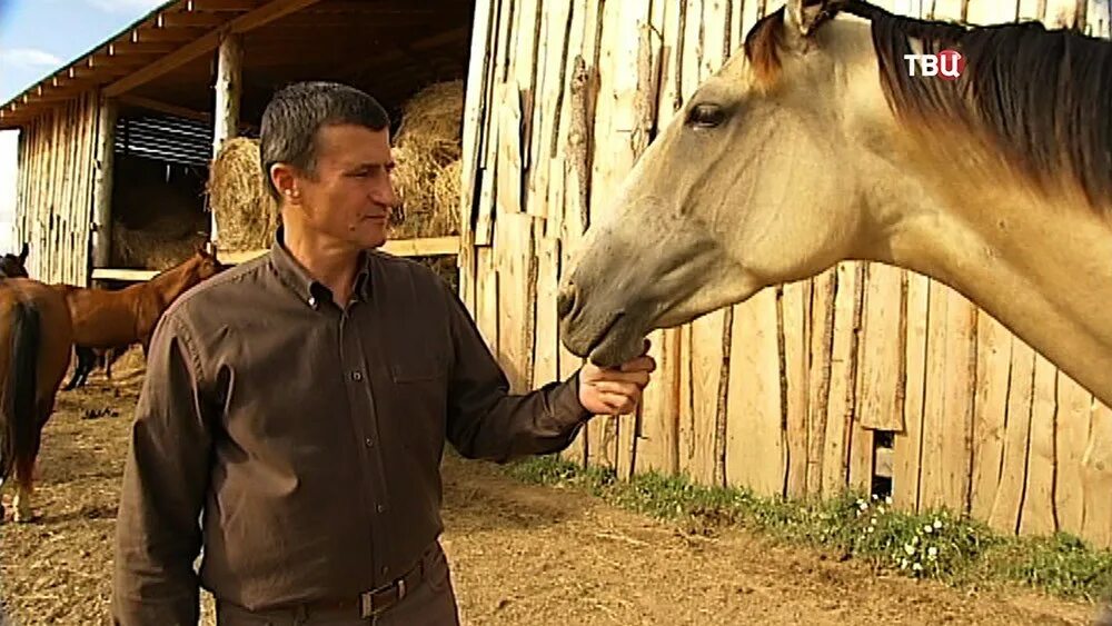 Владелец конюшни. Президентская конюшня. Владелец конюшни Гилаев.