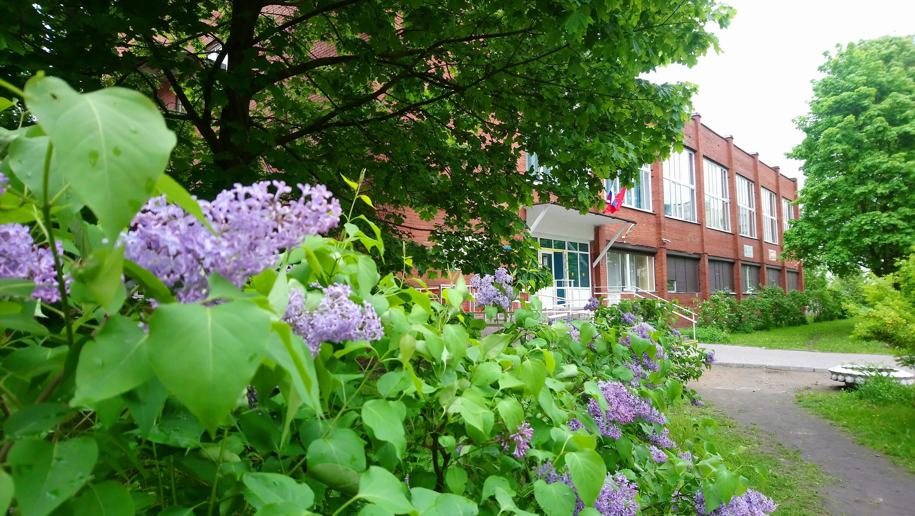 Колледж лицей учительская 21. Лицей сервиса и индустриальных технологий. Лицей сервиса и индустриальных технологий спб. Лицей сервиса и индустриальных технологий спб. Лицей сервиса и индустриальных технологий преподаватели.