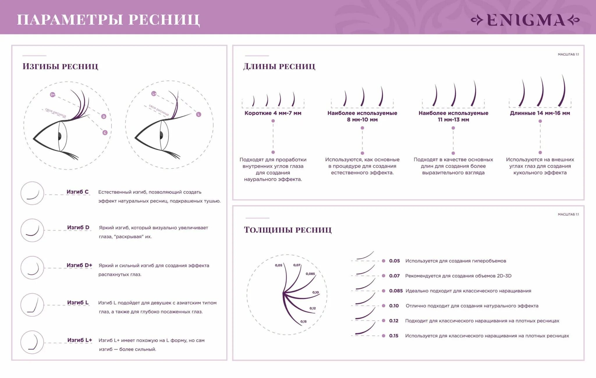 Какие бывают изгибы нарощенных. Изгибы ресниц Энигма. Схема наращивания ресниц изгиб с. Изгибы ресниц для наращивания Энигма. Типы изгибов нарощенных ресниц.