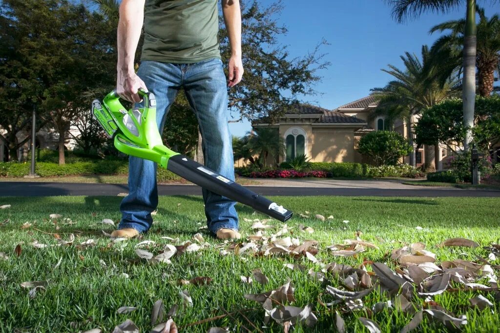 Аккумуляторный вертикальный пылесос greenworks. GREENWORKS 40v 24252 Cordless Leaf Blower. Воздуходув GREENWORKS 40v. Пылесос GREENWORKS 40v аккумуляторный. Воздуходувка аккумуляторная 40в.