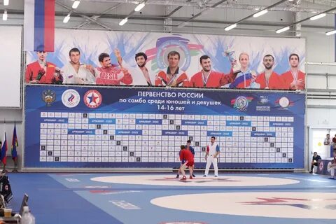 Первенство юфо по самбо новороссийск