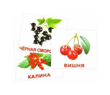 Карточки ягоды для детей