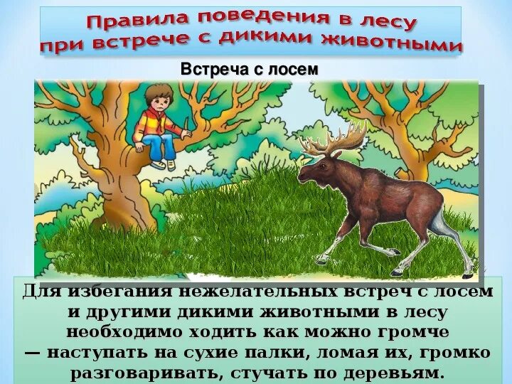 Обж безопасность при встрече с дикими животными. Правило поведения при встрече с дикими животными. Поведение при встрече с опасными животными. Поведение при встрече с диким животным. Безопасность при встрече с дикими животными.