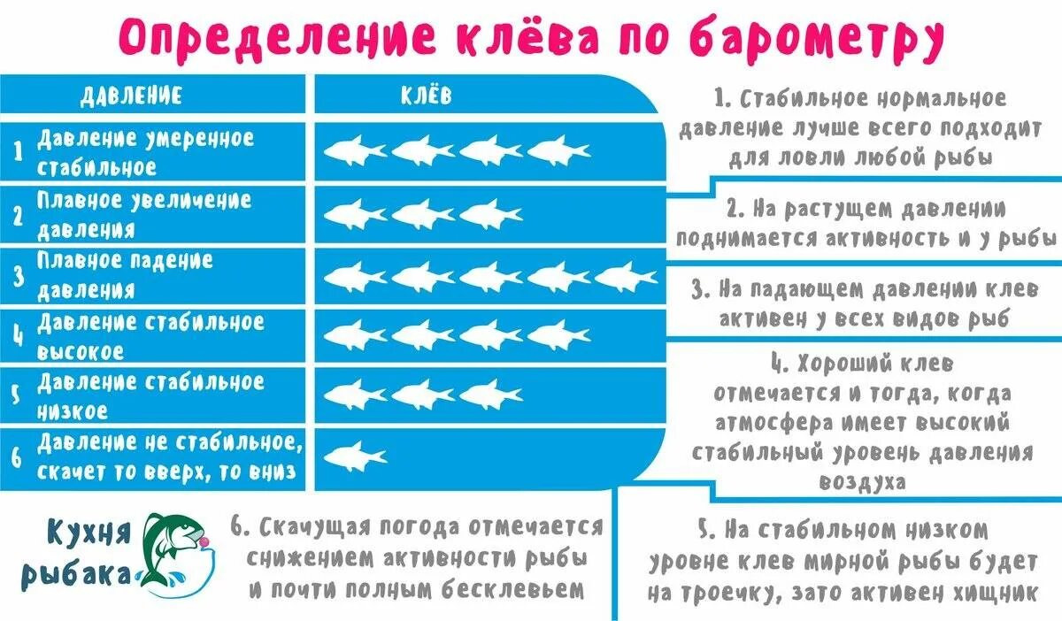Нормы лова. Влияние атмосферного давления на клев. Влияние давления на клев рыбы. Влияние атмосферного давления на клев рыбы. Давление для рыбалки.
