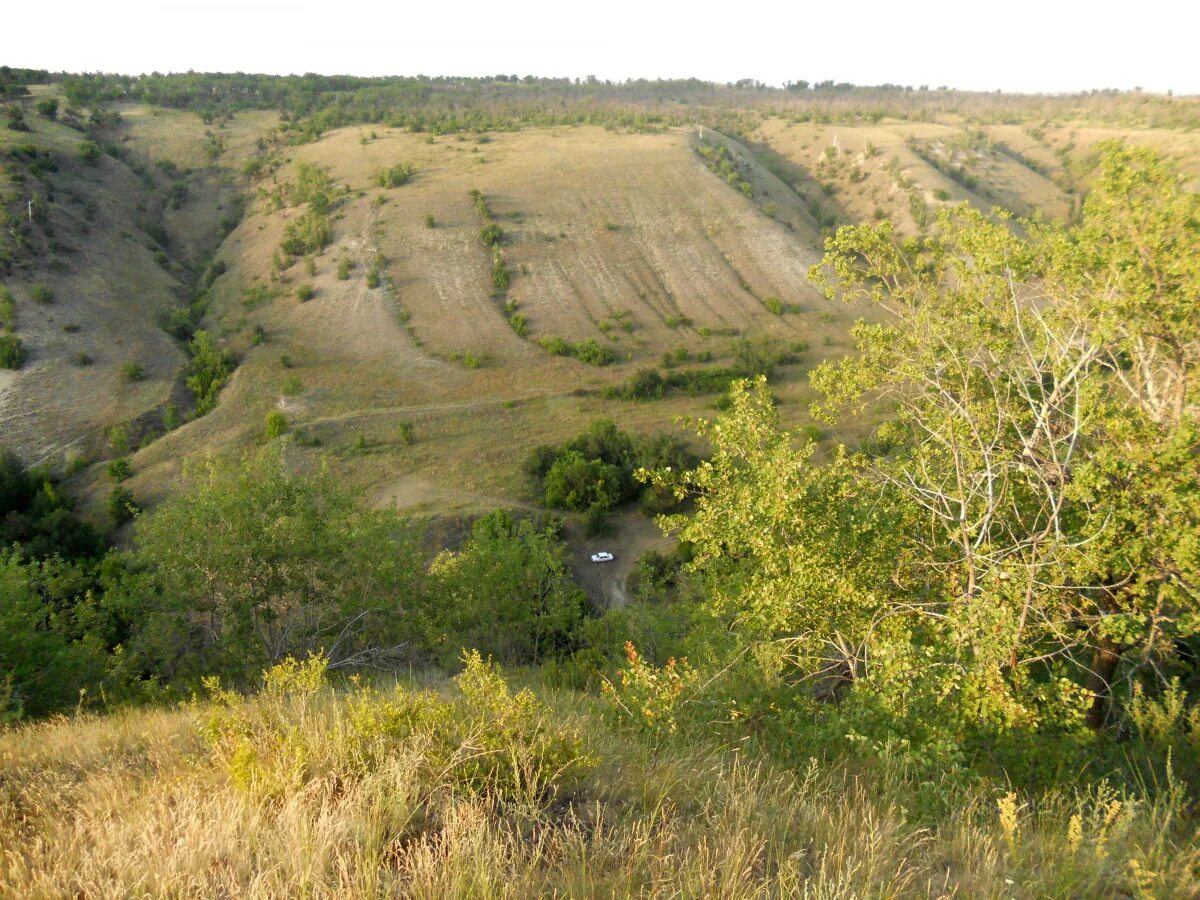 Балка Осипова - Вікіпедія