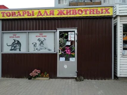 Зоомагазин псков