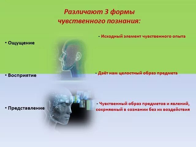 Исходным элементом чувственного. Чувственное познание. Чувственное познание для презентации. Исходный элемент чувственного познания. Чувственное познание представление.