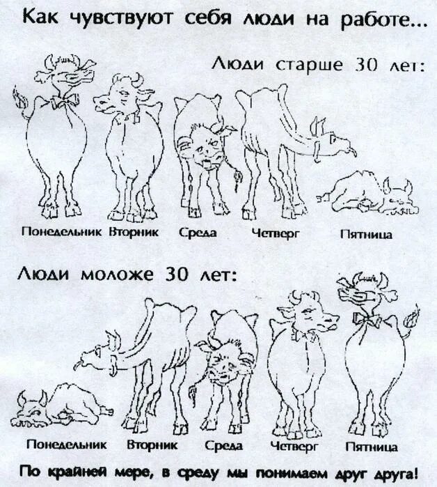 Рабочая неделя будет 2 дня. Как чувствуют себя люди на работе. Приколы про работу. Рабочая неделя. Смешные картинки.