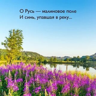 Малиновая русь