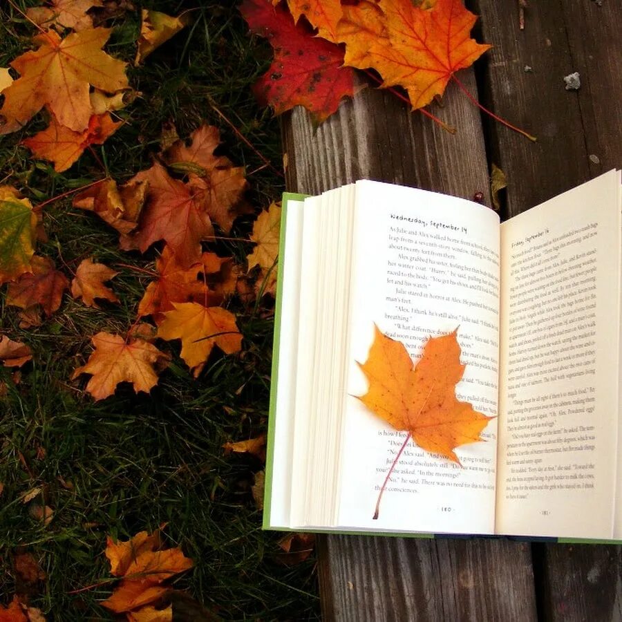 Осень книга кофе. Красивые осенние раскладки. Осень интересные книги. Осенние поэтические чтения. Осень интересные книги.