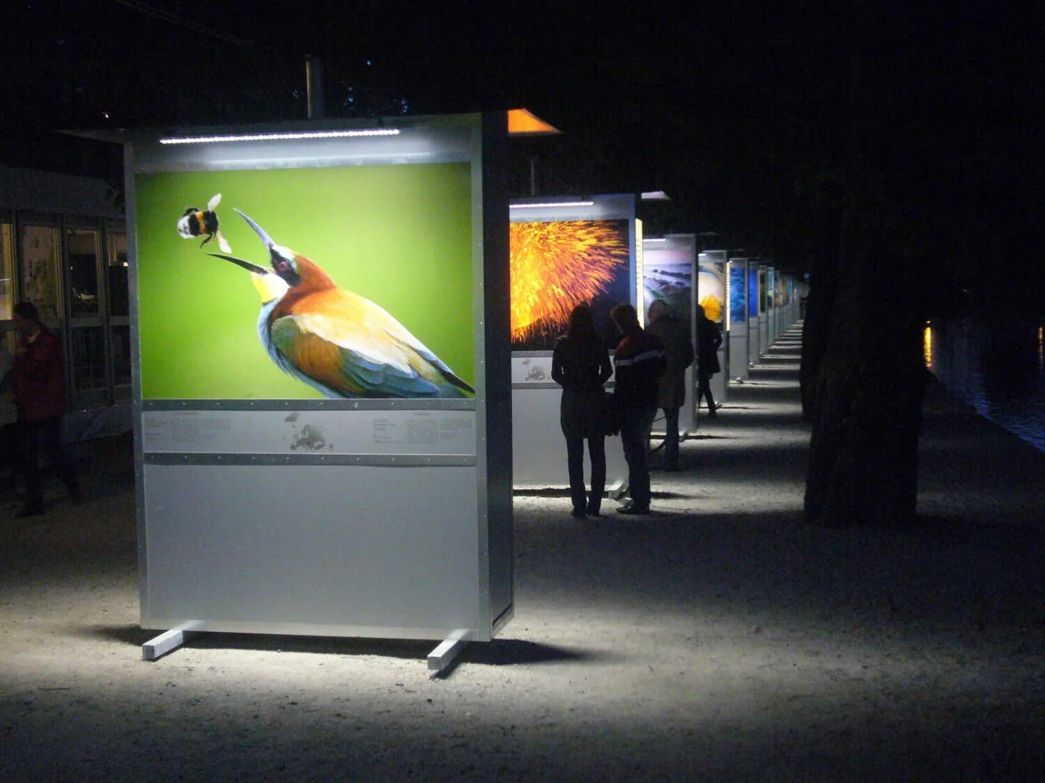 Public display