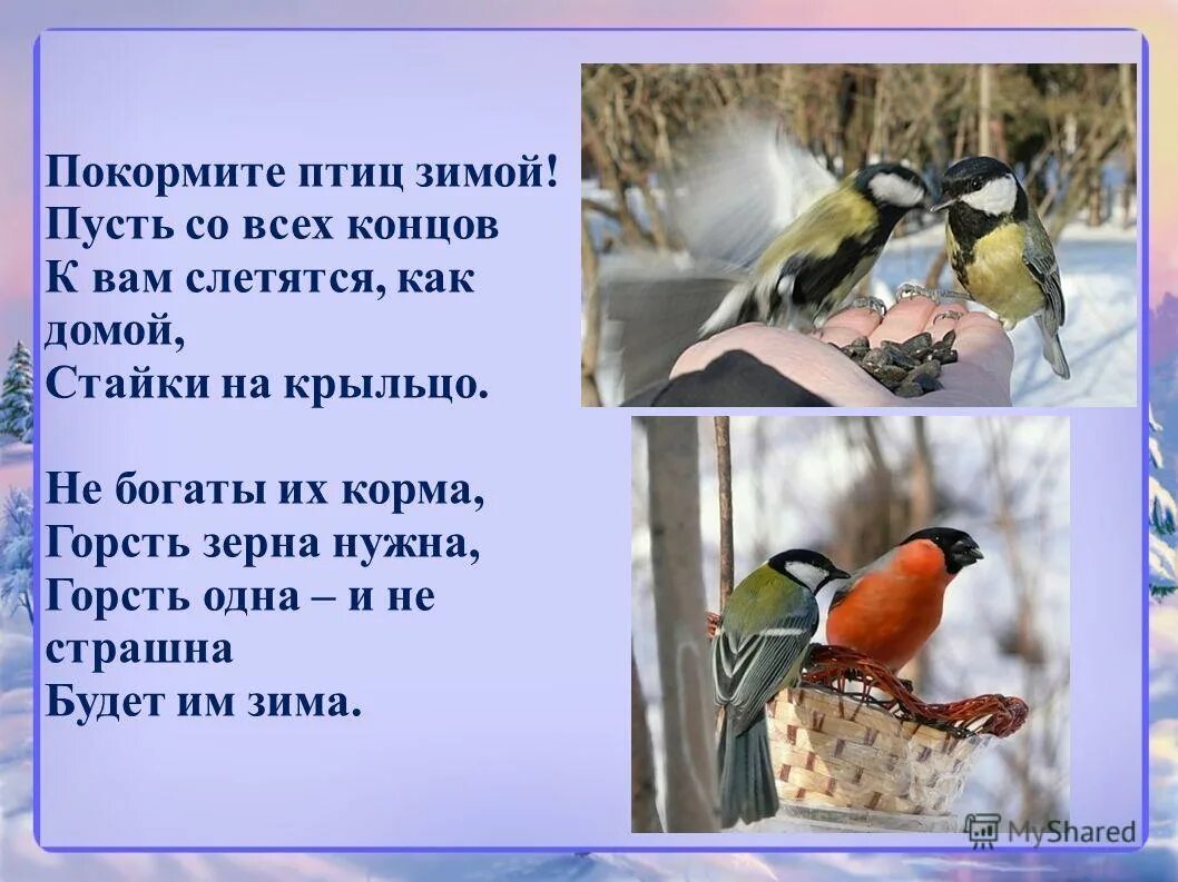 стих покормите птиц зимой. я. стих если начал птиц кормить ты уж не бросай. кормить птиц зимой стих. а.