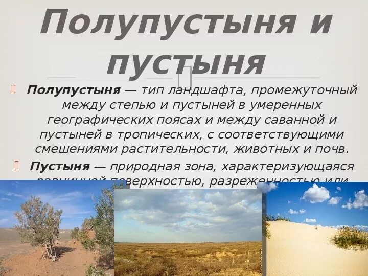 Полупустыни и пустыни климат почвы. Пустыни и полупустыни России климат. Климат полупустынь. Зона полупустынь климат.
