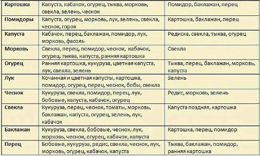 После перца что можно сажать на следующий. Севооборот овощей на грядках таблица. Хорошие и плохие предшественники овощных культур таблица. Севооборот овощных культур таблица предшественники. Таблица предшественников в севообороте.