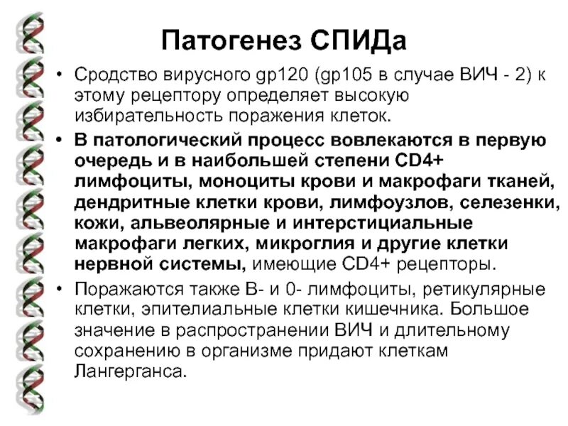 Вирусы гепатитов вич профилактика. Патогенез СПИДА. Сходство СПИДА И вирусного гепатита в. ВИЧ И СПИД патогенез. Синдром приобретенного иммунодефицита патогенез.