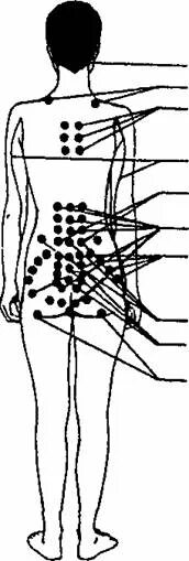 Точки тела для возбуждения. Зоны женского тела. Возбуждающие точки на спине. Зоны на теле женщины.