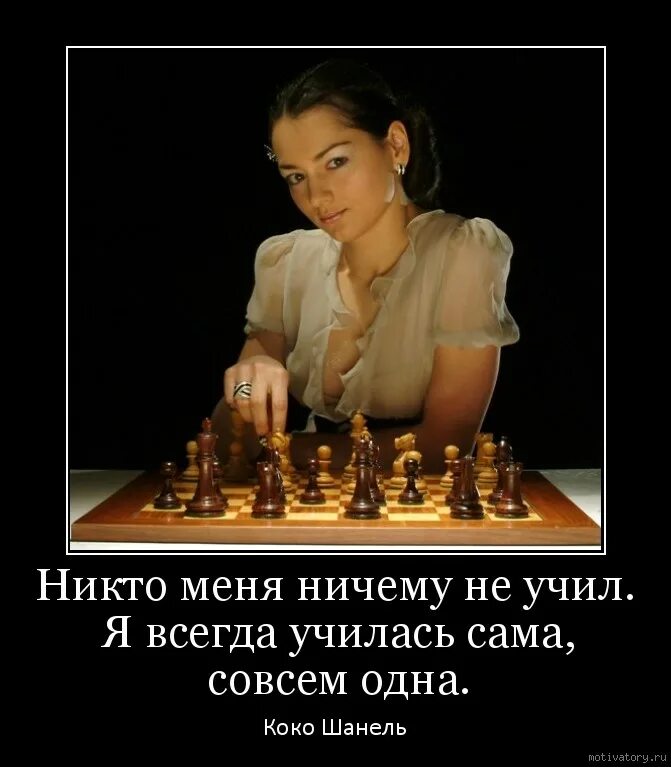 Ничему жизнь не учит. Я совсем один. ничему меня жизнь не учит. никого ничему не учу. некоторых людей жизнь ничему не учит.