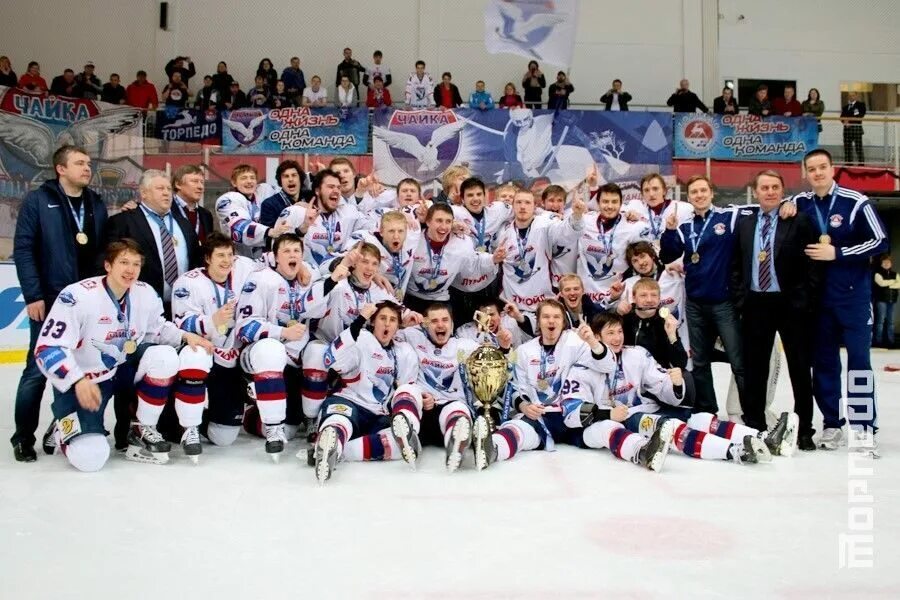 чайка нижний новгород чемпионы мхл. чайка мхл. омские ястребы чайка мхл. хк чайка форма. хк чайка нижний новгород.