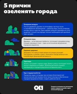 Деревья очищают воздух в городе