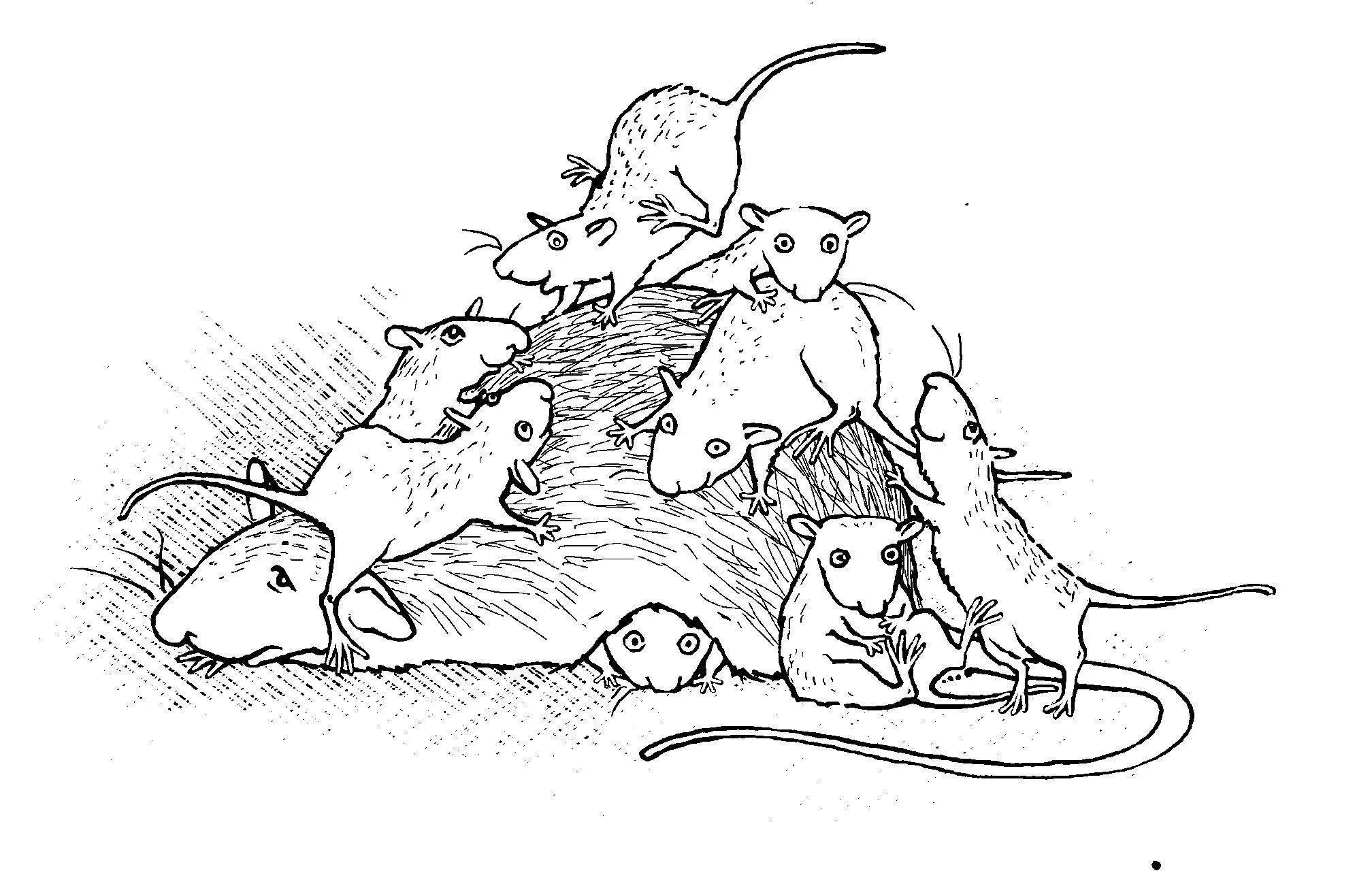 Громыко Крысявки. Зарисовки крыс. Крысявки. Крысиное житие в байках и картинках. Крысиные бега иллюстрации