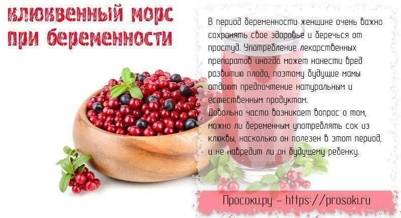 Морс при беременности 3 триместр. Клюквенный морс от отёков. морс для беременных. клюквенный морс при беременности при отеках. клюквенный морс от отёков при беременности.