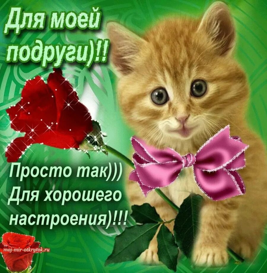 Красивые открытки подругам с пожеланиями доброго. Красивые открытки подругам с пожеланиями доброго. Открытка лучше подруге. Красивые открытки подругам с пожеланиями доброго. Открытки с добрым утром подруге.