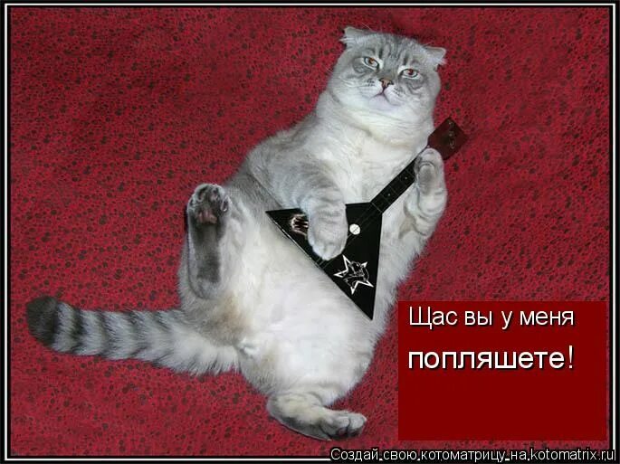 Какую нибудь спеть
