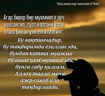 Статус бир