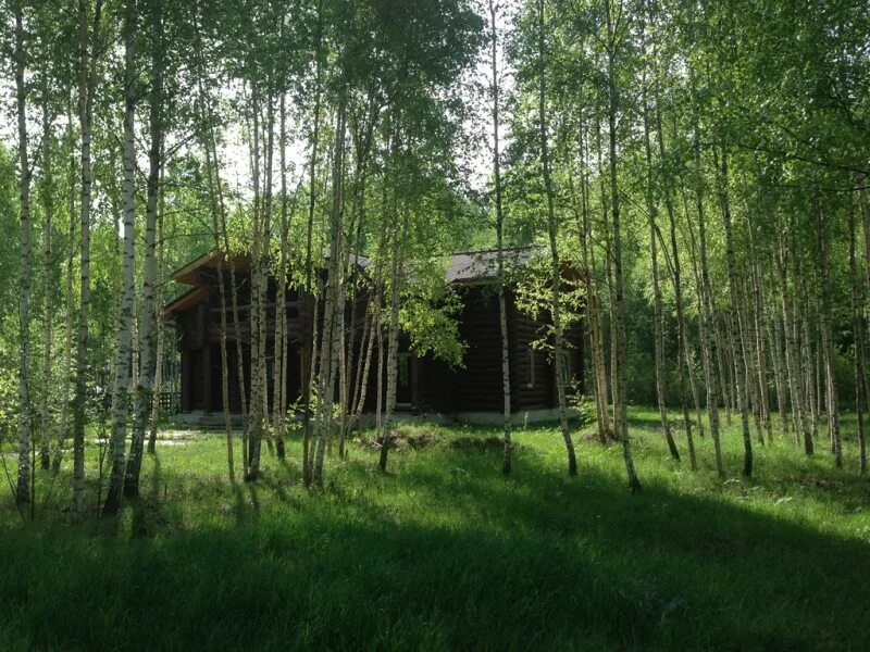 Кп золотые пески можайское водохранилище. Коттеджный поселок золотые пески в можайске. Золотые пески можайское. Кп золотая сотка. Коттеджный посёлок золотые пески можайское водохранилище.