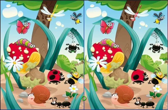 5 отличий природа. Найди отличия насекомые. найди различия природа. найди различия лето. найди отличия лето.