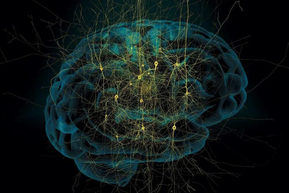 Скотт Бэккер Нейропат. Нейроны мозга. Нейробиология мозга. Нейронная сеть мозга.