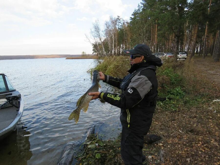 Воронежское водохранилище рыбалка. Лодка штраф рыбалка. Зимняя рыбалка на Воронежском водохранилище 2024 год. Какая рыба водится в Воронежском водохранилище.