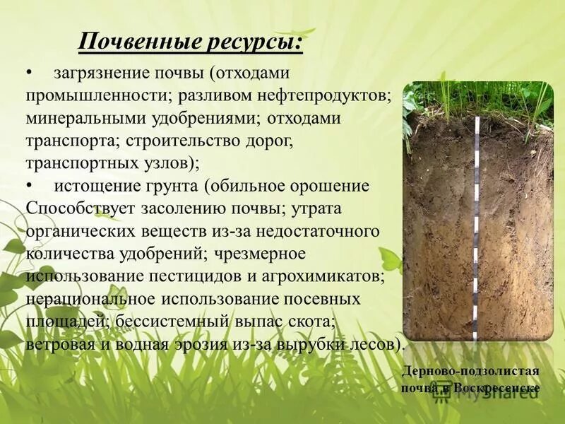 Использование почвенных ресурсов. Использование почвенных ресурсов