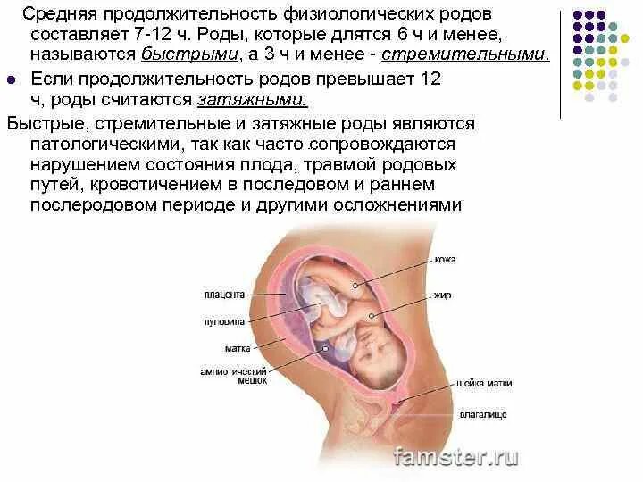 Продолжительность физиологических родов.