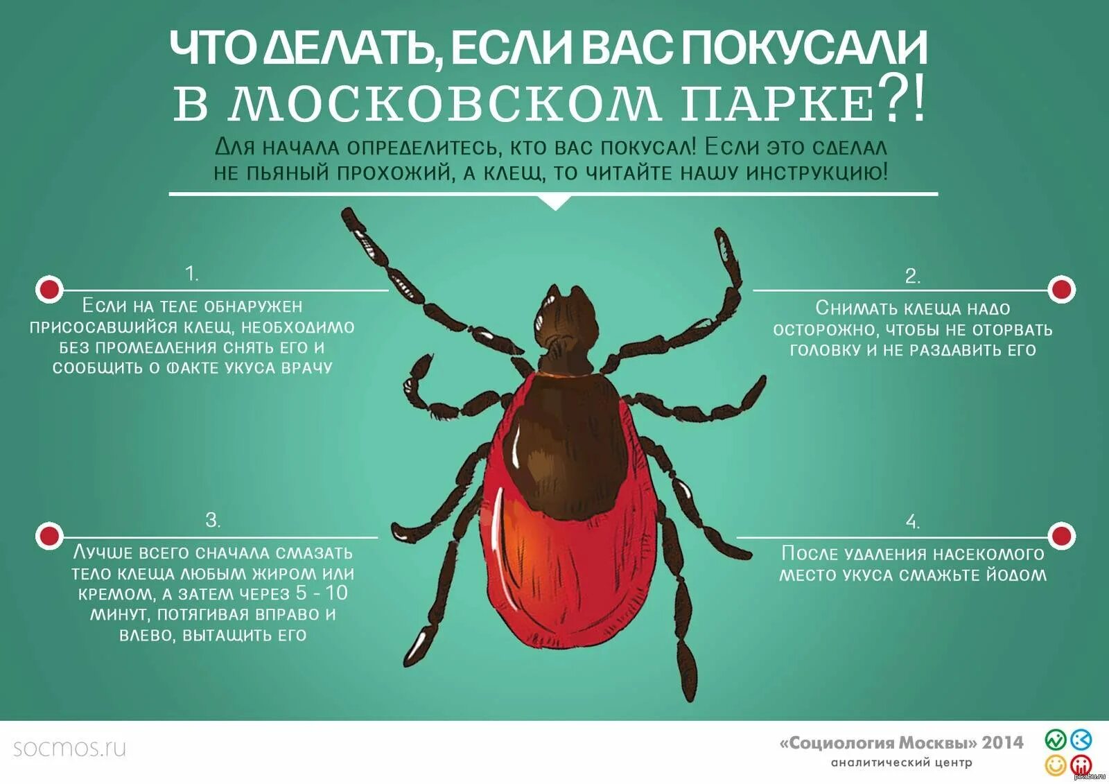 Какие симптомы при укусе энцефалитного клеща