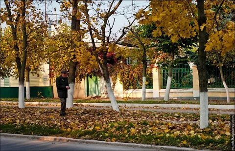 Улице острогожской