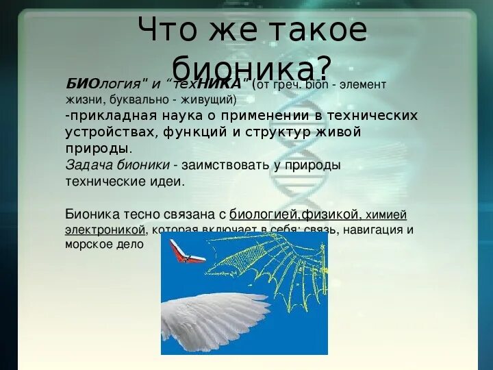 Презентация на тему Бионика. Бионика это в биологии. Бионика в биологии презентация. Примеры бионики в биологии.